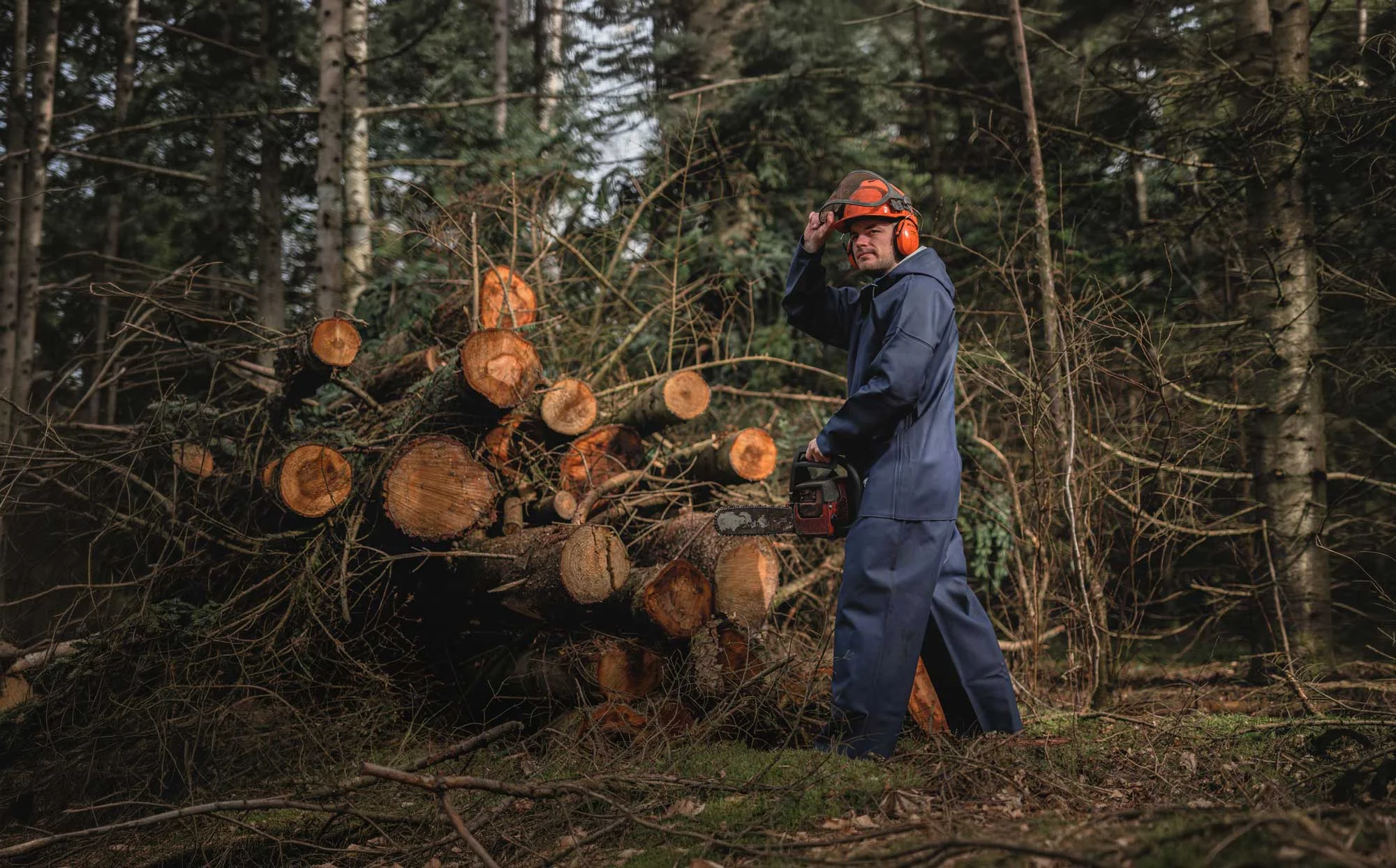 Forstarbeiter in dunkelblauem Regenoverall mit Helm, Gehörschutz und Motorsäge vor gestapelten Baumstämmen im Wald